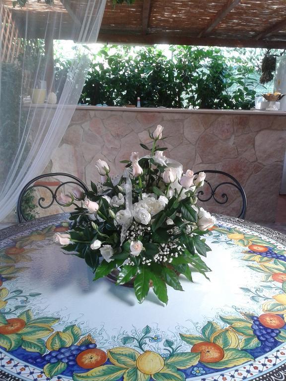 טרמולי Viola Di Mare Rooms And Parking מראה חיצוני תמונה