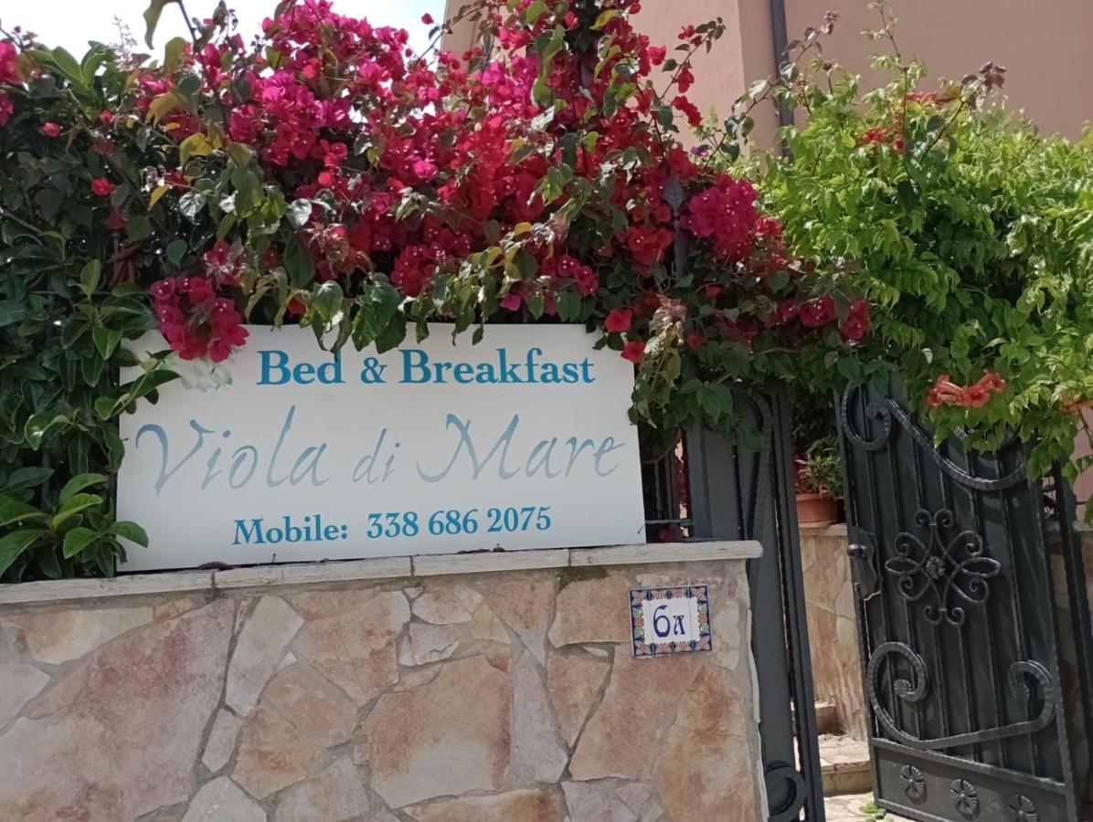 טרמולי Viola Di Mare Rooms And Parking מראה חיצוני תמונה