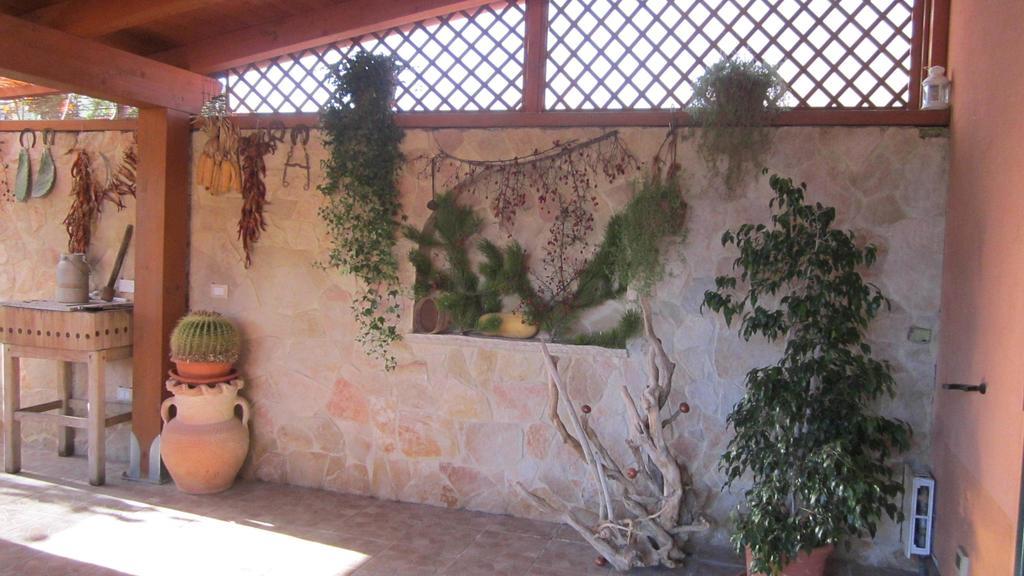 טרמולי Viola Di Mare Rooms And Parking מראה חיצוני תמונה