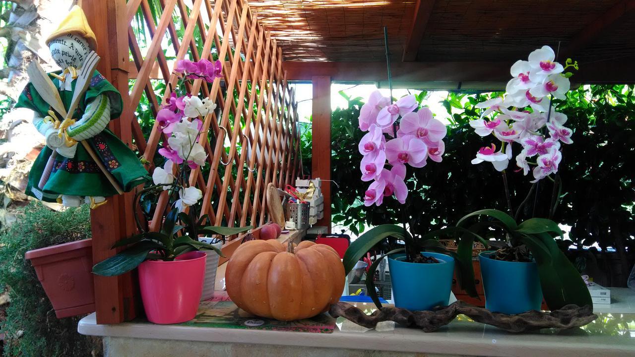טרמולי Viola Di Mare Rooms And Parking מראה חיצוני תמונה